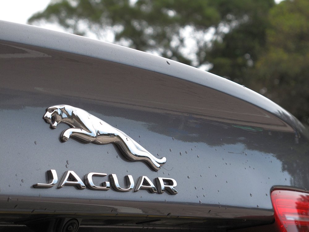 大貓騎乘記 Jaguar XE Prestige