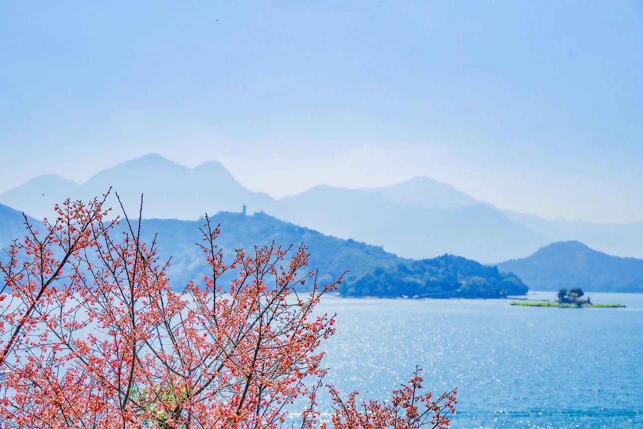 春很美好，美好與花都不等人