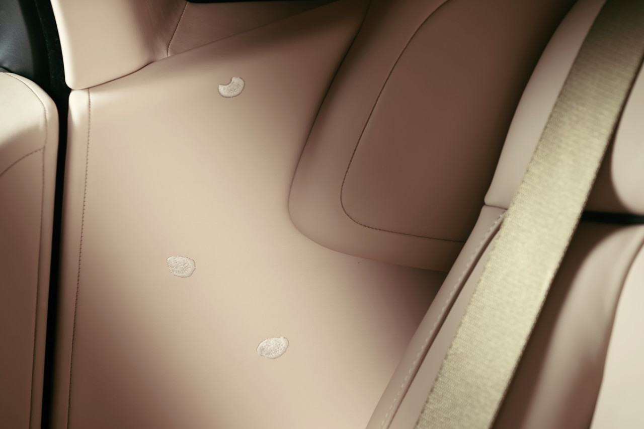 欣賞櫻花，不再季節限定