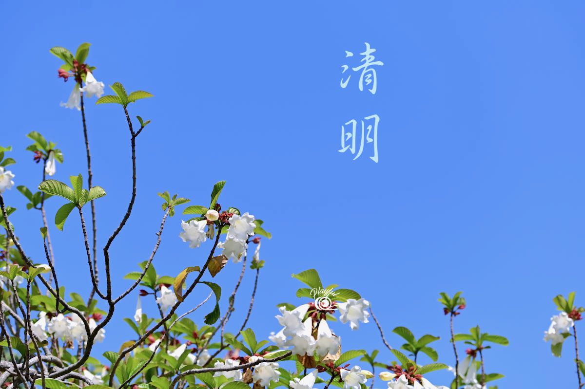清明。節氣