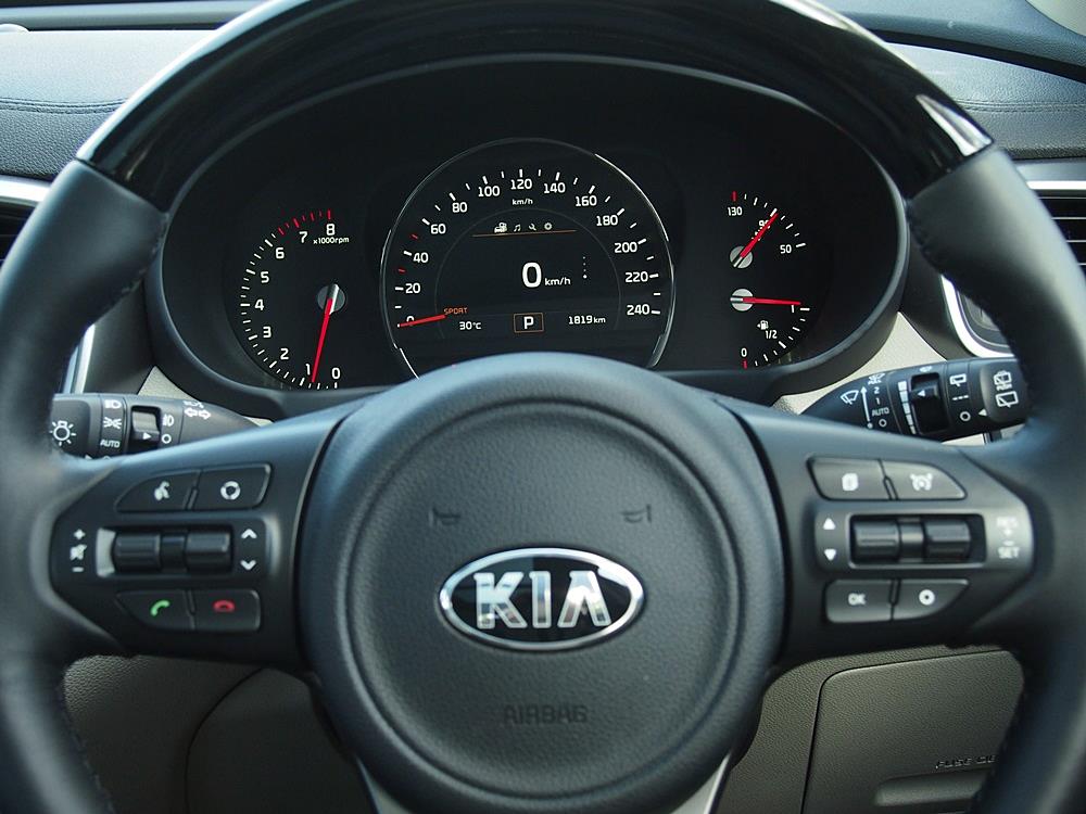 見到已開心 2015 Kia Sorento