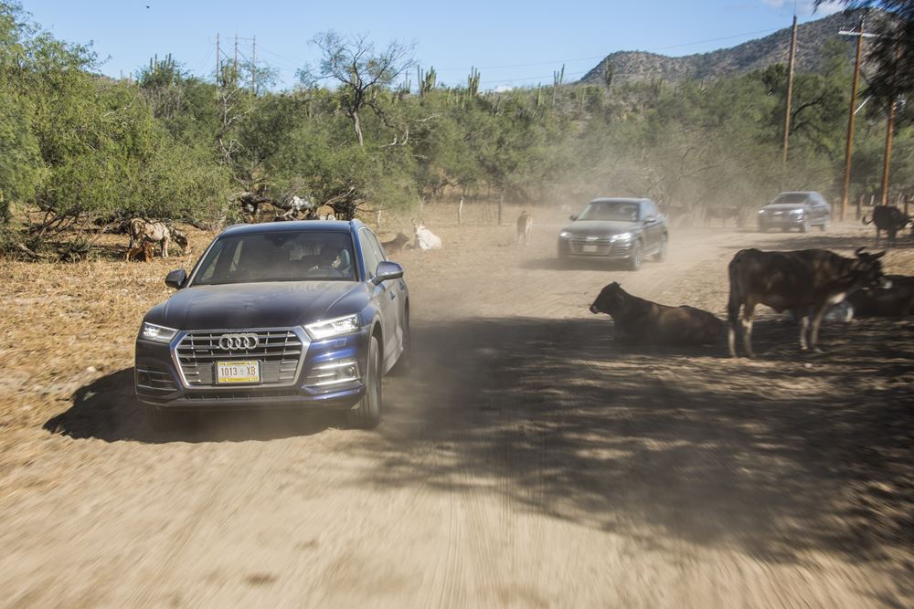 豪華與硬朗兼備 Audi Q5