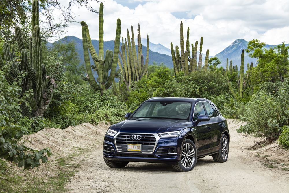 豪華與硬朗兼備 Audi Q5