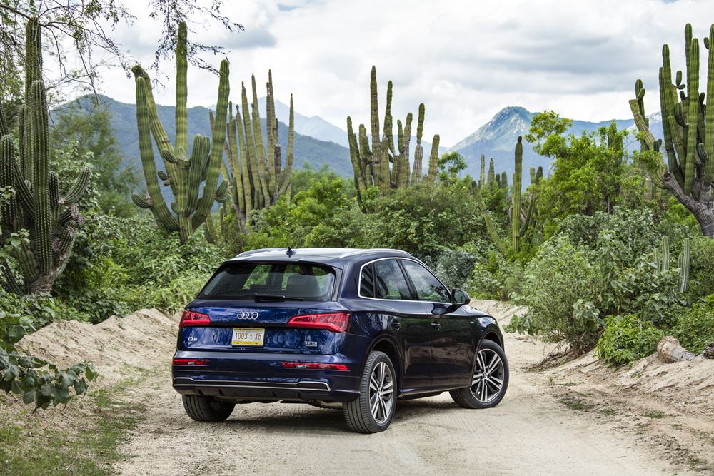 豪華與硬朗兼備 Audi Q5