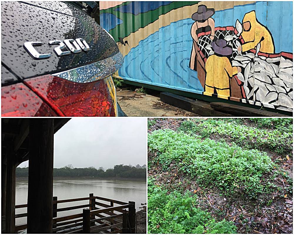 長篇 • 大論 Mercedes-Benz C 200 Estate