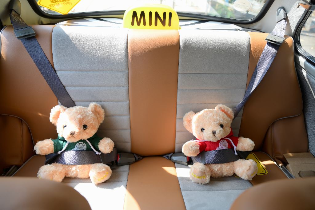 香港迷你車會三十周年