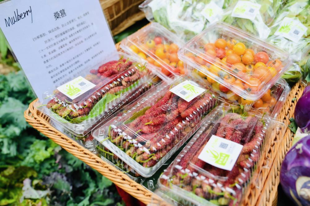高價由台灣引入的長桑椹，聽講培植不易，比普通桑椹香甜。
