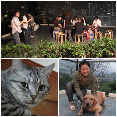 Mercedes-Benz E350 Avantgarde